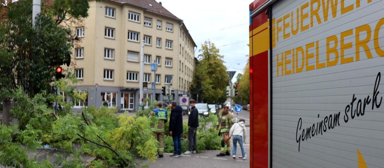 Verletzte und Schäden nach Sturmtief Luise