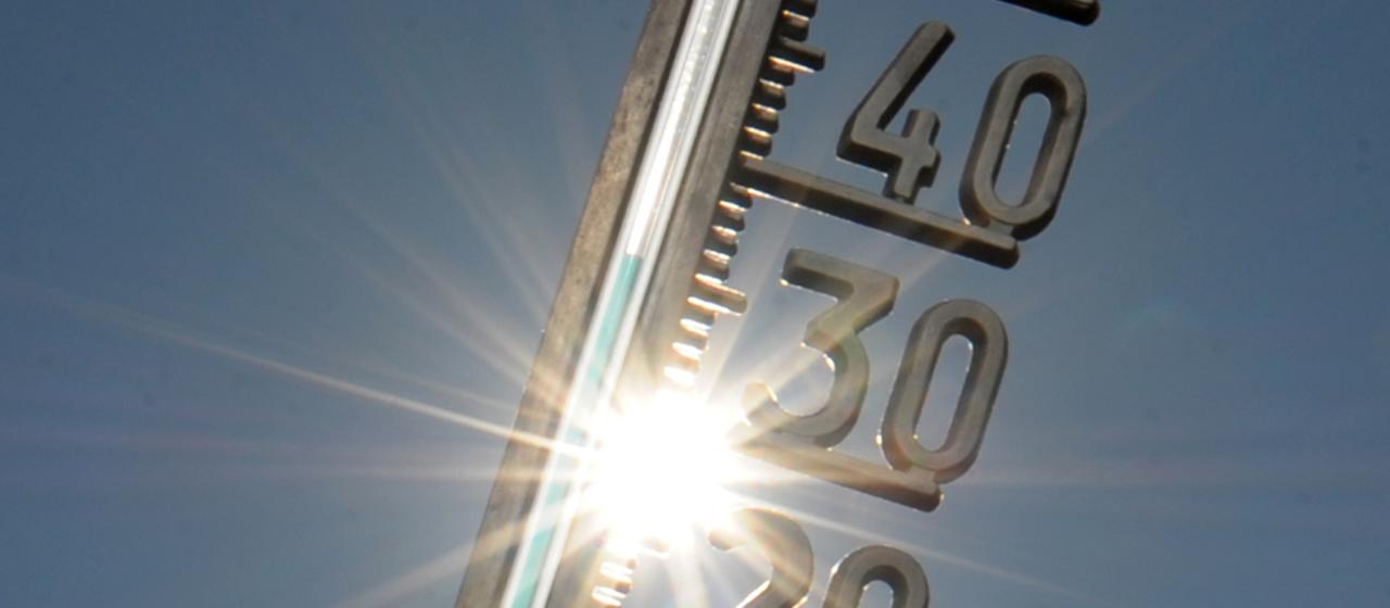Etwa 50.000 Hitzetote im Sommer 2026 in Europa