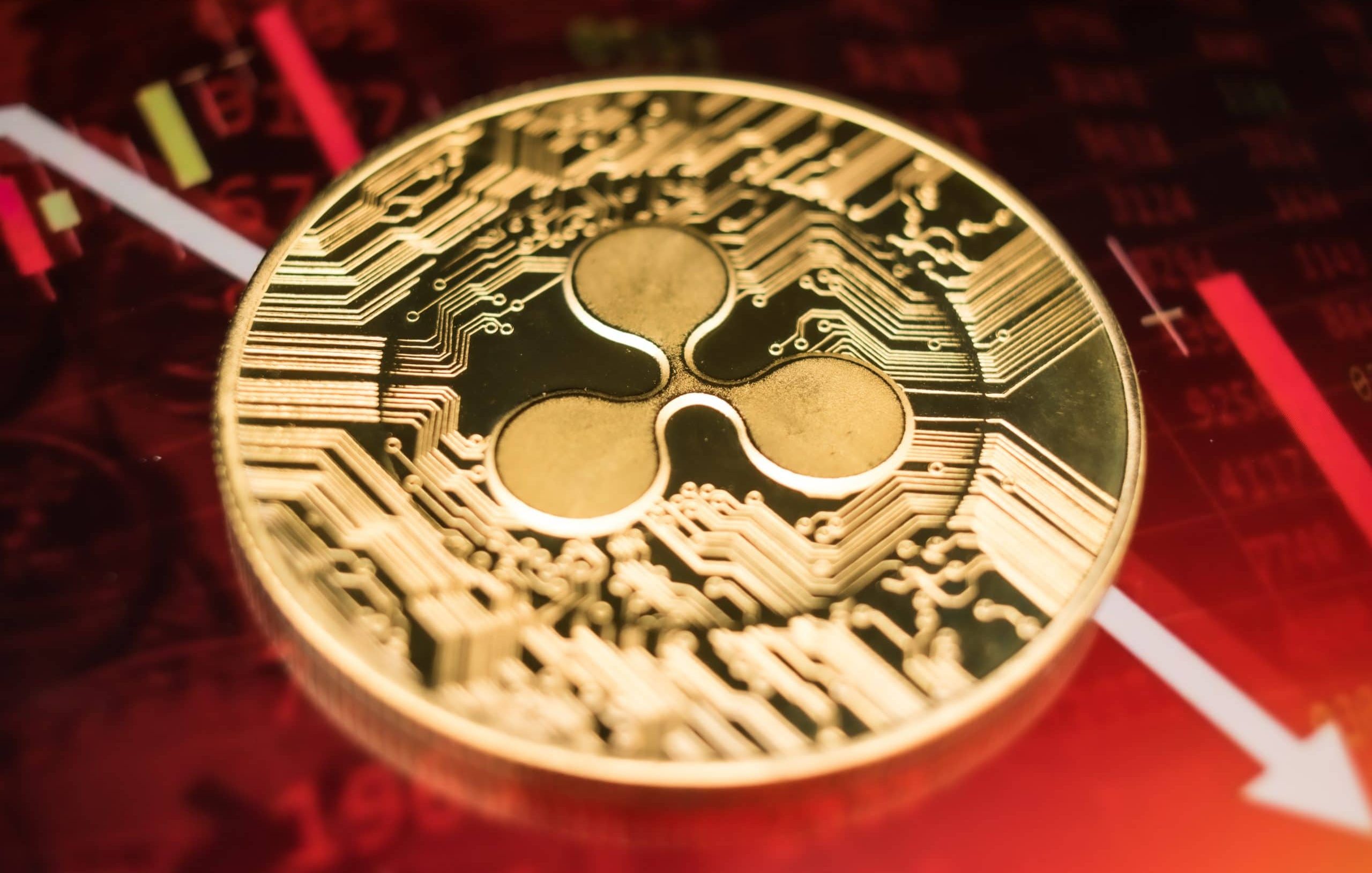 XRP Verluste: Diese Geschichten sind unglaublich